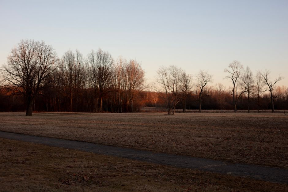 A landscape scene featuring a flat, open field with sparse, leafless trees lining the horizon under a clear sky during late afternoon or early evening. The trees display bare branches, and the grass i